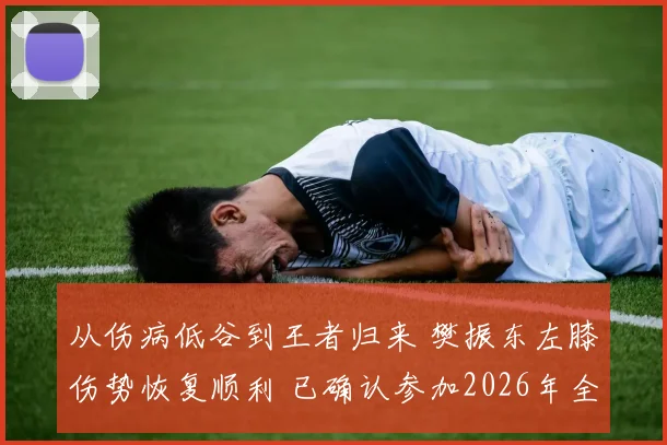 从伤病低谷到王者归来 樊振东左膝伤势恢复顺利 已确认参加2026年全锦赛 谱写新篇章